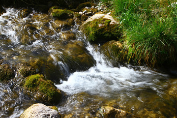 Spring water mountain river and the pretty petrous creek on North Caucasus. mountain natural landscape photo