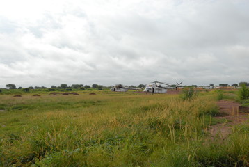 rural landscape with wheat field and blue sky