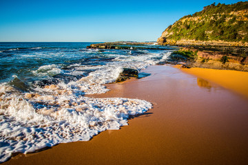 Obraz premium Green seaweed covered rock on beach