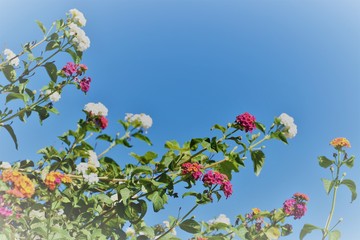 Cyprus beautiful  good morning