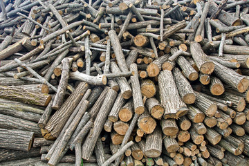Firewood on the crowd