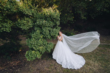 Fototapeta na wymiar A beautiful and smiling bride stands in nature in greenery with a long flying veil. Wedding portrait of a young bride. Wedding photography. Big veil.