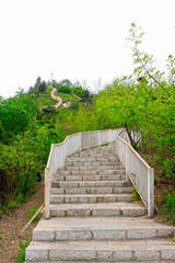 metal railings