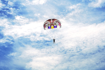 fly in the sky