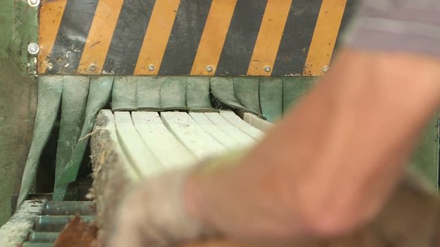 Plant for the production of wood boards. Pilorama. The concept of production, manufacturing and woodworking.