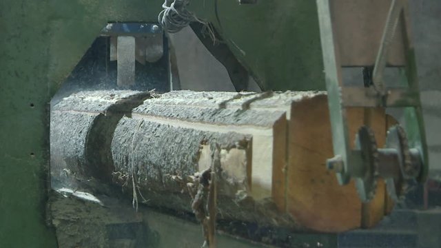 Plant for the production of wood boards. Pilorama. The concept of production, manufacturing and woodworking.