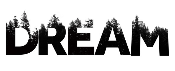 Dream word made from outdoor wilderness treetop lettering