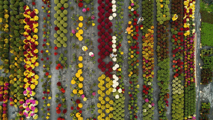 Flower field form above