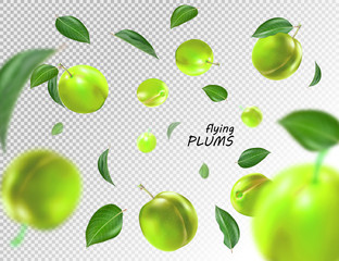 Flying green plums on transparent background. Realistic quality vector. Eps10. 3d illustration
