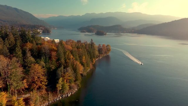Aerial shot of a autumn forest and a view up Indian Arm, Deep Cove, with a speed boat passing by the shore.