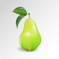 Pear realistic. Vector 10EPS. Green pear, punching bag, punching ball, punchbag, punchball. 3d illustrattion