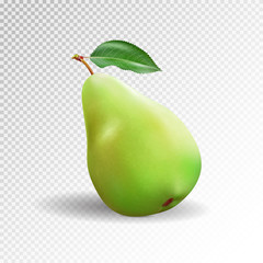 Pear realistic. Vector 10EPS. Green pear, punching bag, punching ball, punchbag, punchball. 3d illustrattion