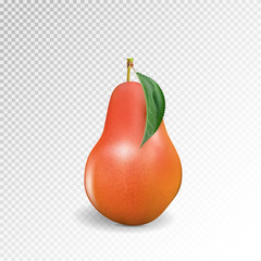 Pear realistic. Vector 10EPS. Red pear, punching bag, punching ball, punchbag, punchball. 3d illustrattion