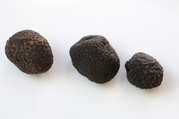 Schwarze Trüffel vor weißem Hintergrund