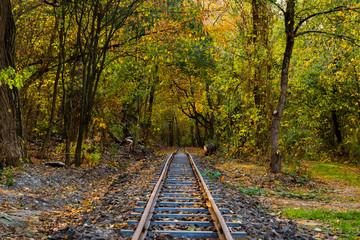 Fototapeta na wymiar Old Rails in autumn Forrest, railroad in colorful forest, autumn Forest and railway, crooked rails in the forest