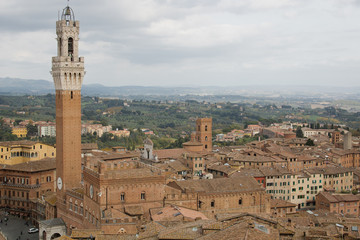 Fototapeta na wymiar Siena, panoramic view. Panoramic view of Siena with main tower of the city in foreground
