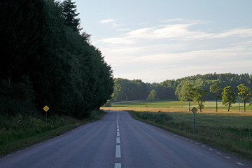 Fototapeta na wymiar Empty road in the south of Sweden