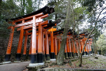 Famous torii gates on the path to Fushimi Inari Taisha shrine in Kyoto, Japan.