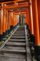 Famous torii gates on the path to Fushimi Inari Taisha shrine in Kyoto, Japan.