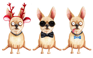 Set of three comical chihuahua. Hand drawn watercolor