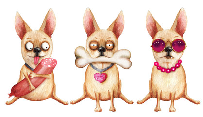 Set of three comical chihuahua. Hand drawn watercolor - 233546535