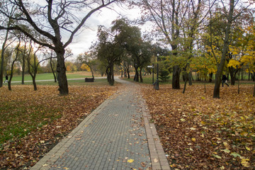 Autumn Park