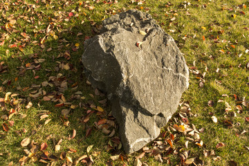 Rock in park
