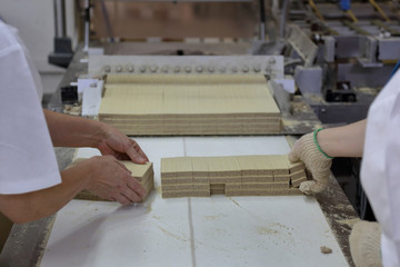 Industrial equipment and machinery at the factory of bread and sweets