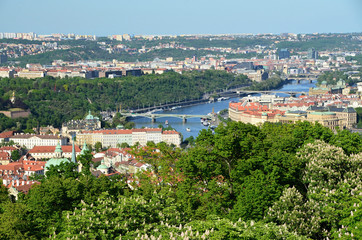 Obraz premium View of the capital city of Prague from Petrin lookout tower