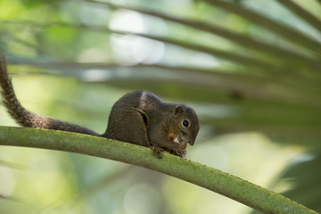 Botanic Garden singapore