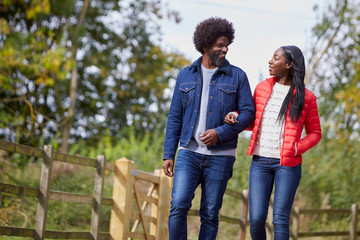 Obraz premium Black adult couple talking and walking arm in arm in the countryside