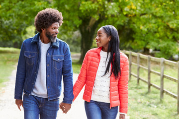 Fototapeta premium Black adult couple,boyfriend,girlfriend walk holding hands in the countryside,close up