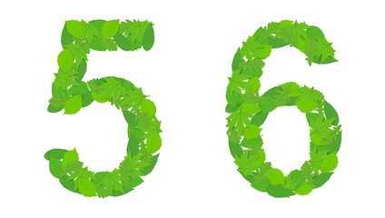 Illustration numbers 5 and 6, green spring-summer leaves, decoration, design.