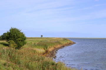 Ostsee, Strand, Urlaub, Erholung, Natur, K&uuml;ste