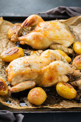 Roasted chicken with spices, herbs, garlis, small potatoes