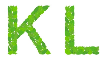 Illustration of the letters K and L alphabet, green spring-summer, design, design.