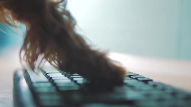 dog typing text keyboard computer social media. funny video with a dog business concept. Cute in the evening at night dog works in the office at the computer. dog using a computer and browsing the