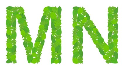 Illustration of the letters M and N alphabet, green spring-summer, design, design.