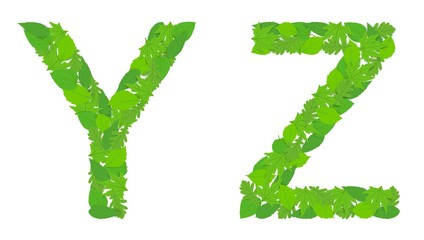Illustration of the letters Y and Z alphabet, green spring-summer, design, design.