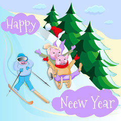 Piglets ride down the hill