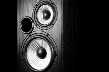 Photo of black music audio speaker. Close-up.