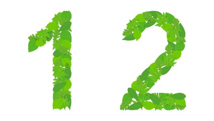 Illustration numbers 1 and 2, green spring-summer leaves, decoration, design.