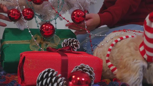 Happy couple with dog, all in Christmas clothes sitting near Christmas tree