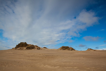 Fototapeta na wymiar Rabjerg Mile is a migrating coastal dune, Denmark.
