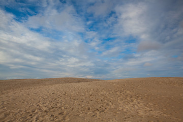 Fototapeta na wymiar Rabjerg Mile is a migrating coastal dune, Denmark.