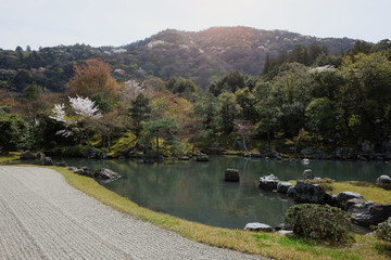 Fototapeta na wymiar Water by a Japanese Garden