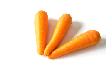 Carrots isolated on white background.