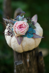 Kleines Blumenarrangement auf Zierkürbis