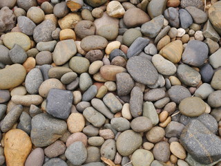 pebbles on the beach