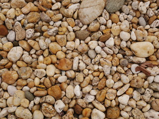 vintage concrete floor texture background,dirty cement wall